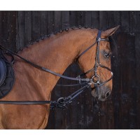 Развязки кожаные с кольцом Ekkia Riding World