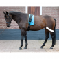 Шлея Пессоа Harrys Horse