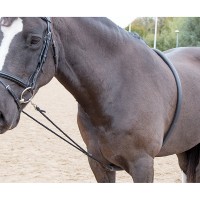 Лонжа для лошади мягкая Shires SOFT