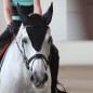 Ушки длинные 1KM MIU SportLine Grand Prix
