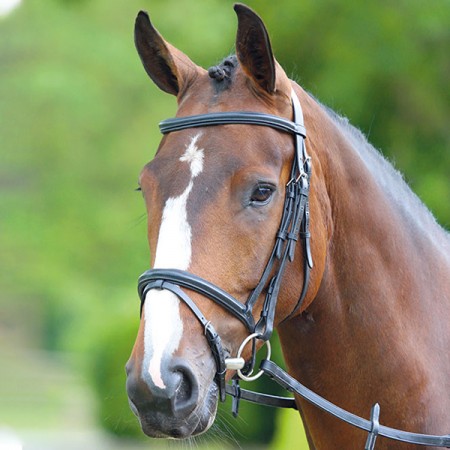 Уздечка для пони с поводом Bridleway MELTON