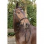 Уздечка Harrys Horse BRONZE