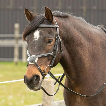 Уздечка с мексиканским капсюлем Harry\'s Horse MEXICAN