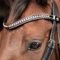 Уздечка Harrys Horse ALLEGRO