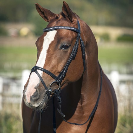Уздечка PYRAMIDE BROWBAND