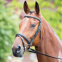 Уздечка выездковая Shires ROSSANO WITH FLASH