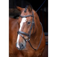 Уздечка выездковая с поводом Shires DRESSAGE