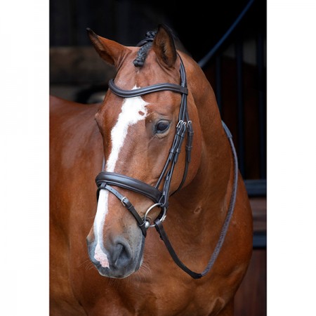 Уздечка выездковая с поводом Shires DRESSAGE