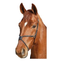Мексиканский капсюль Tattini Economy Line