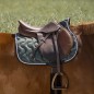 Вальтрап универсальный Ekkia EquiTheme POLYFUN