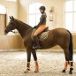 Вальтрап универсальный HKM Allure Cheval