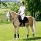 Универсальный вальтрап TEKNA Saddlery