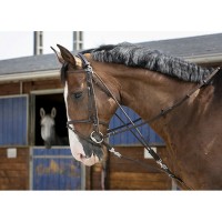Гог (Шамбон-парашют) Ekkia RIDING WORLD