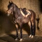 Подперсье кожаное с эластичным мартингалом Harry's Horse Deluxe