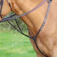 Подперсье с мартингалом Shires AVIEMORE HUNT WEIGHT