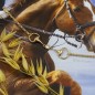Браслет Трензель-империал 6 с фианитом позолота EQUIMOON