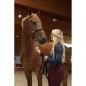 Леггинсы с полной силиконовой леей Ekkia EquiTheme LYLY
