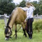 Бриджи подростковые с полной леей USG PonyLove