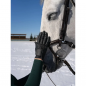 Перчатки ALIBI Equestrian