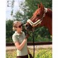 Поло пике с коротким рукавом Diamond Zest