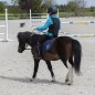 Жилет защитный детский Ekkia EquiTheme MESH