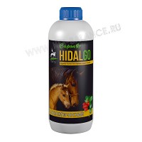 Сироп Урологический Hidalgo, 1 литр