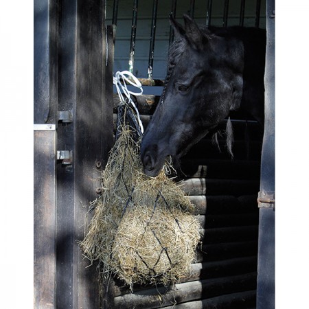 Рептух Harrys Horse