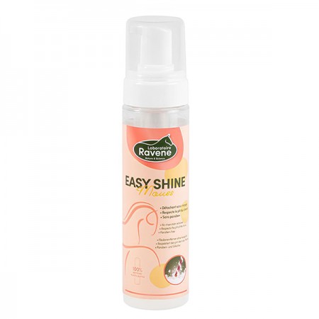 Пятновыводитель Easy Shine Mouse RAVENE, 200 мл
