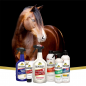 Пятновыводитель для шерсти Absorbine SHOWSHEEN, 591 мл