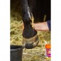 Гель охлаждающий EQUINATURA COOLING GEL, 600 мл
